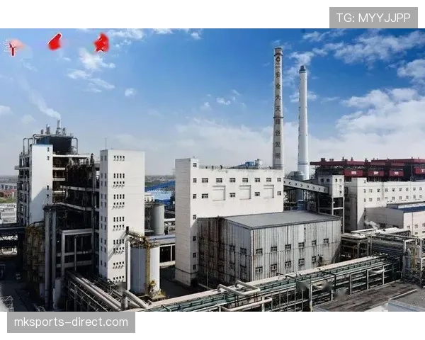 山东泰山重回巅峰之势面临检验，稳定性与成绩预期需看阶段表现变化